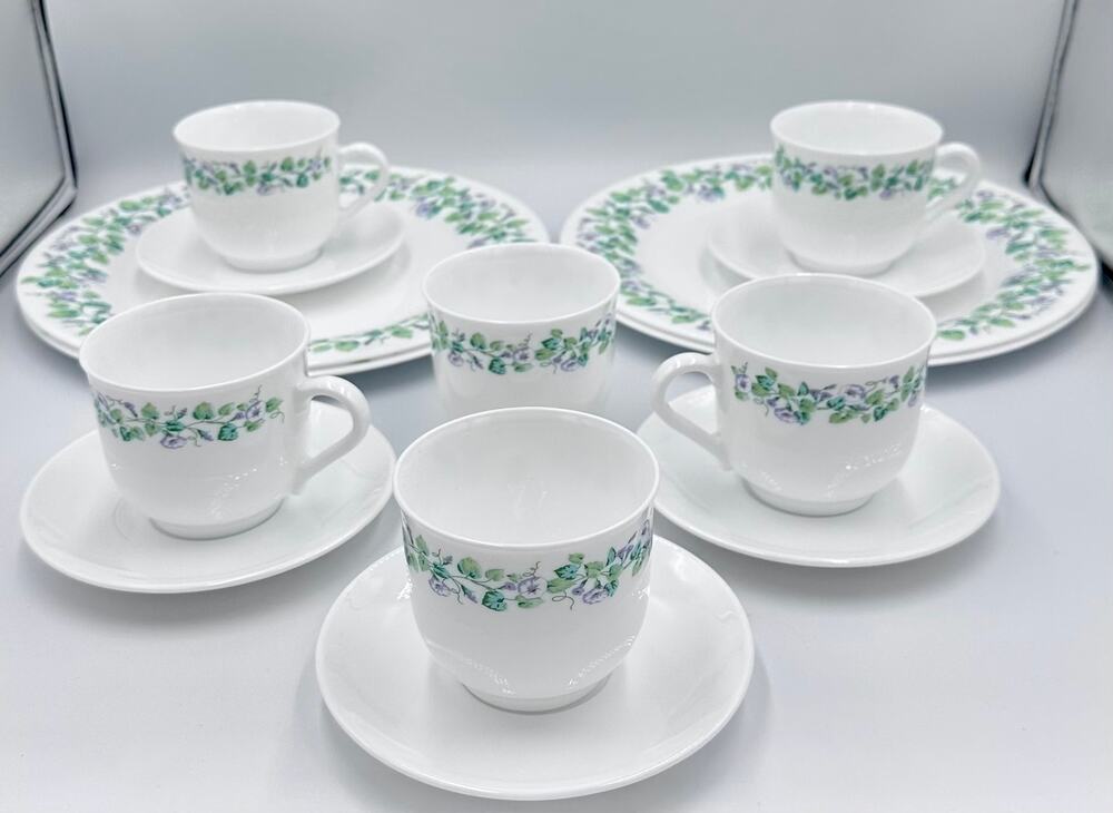 Martha Stewart Morning Glory Dinner Plates Cup & Saucer Arcopal French Tableware